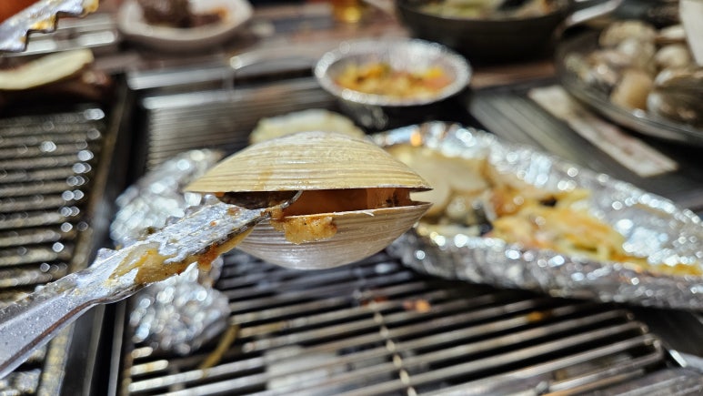 조개맛본돼지 이미지