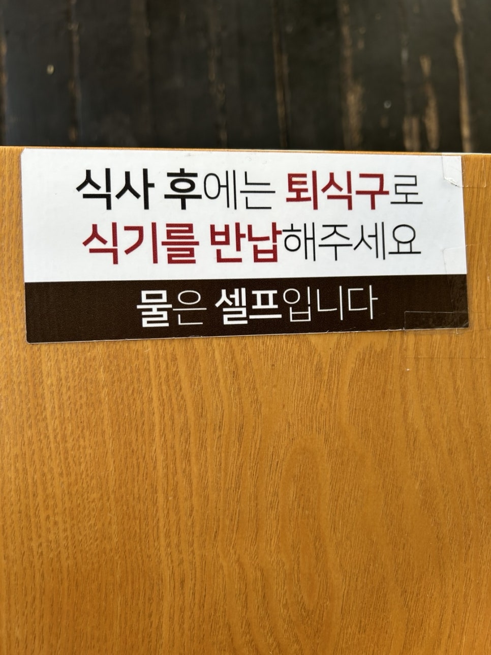 흑송 이미지