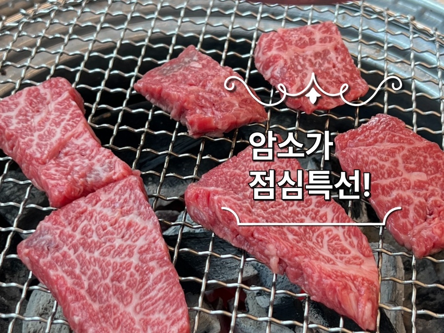 미경사 이미지