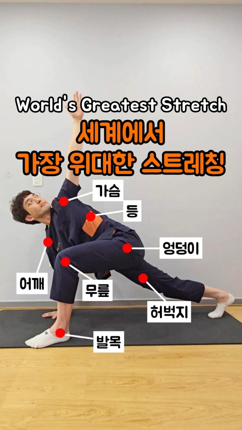 전신운동스트레칭 이미지