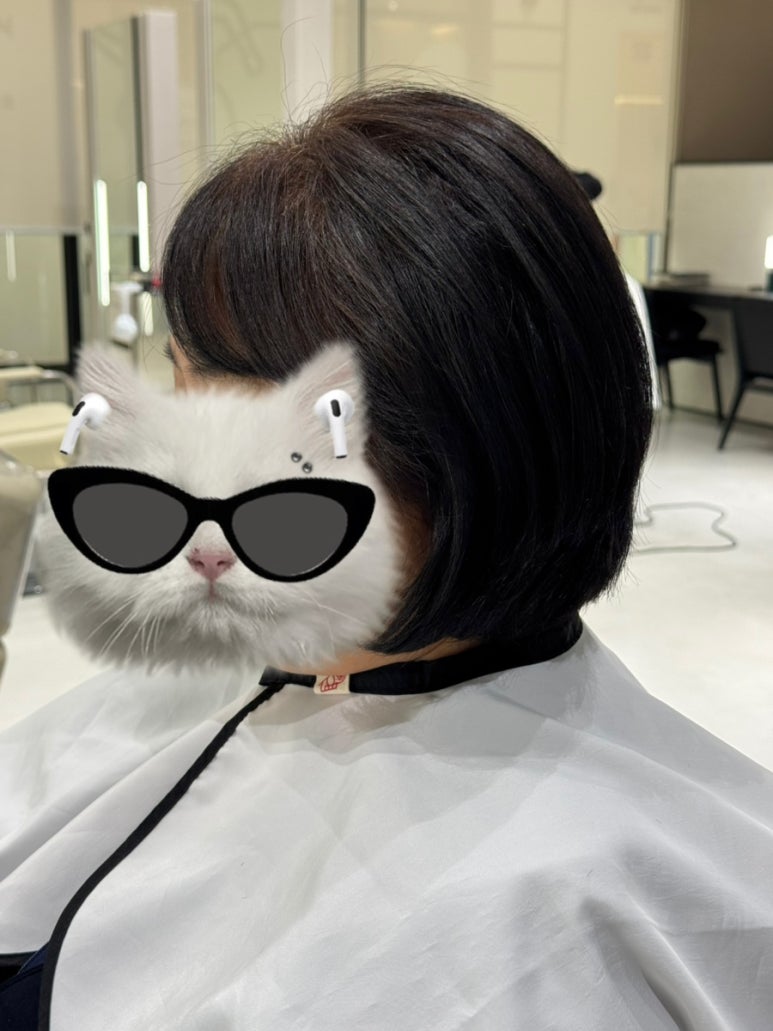 헤어올림픽 이미지