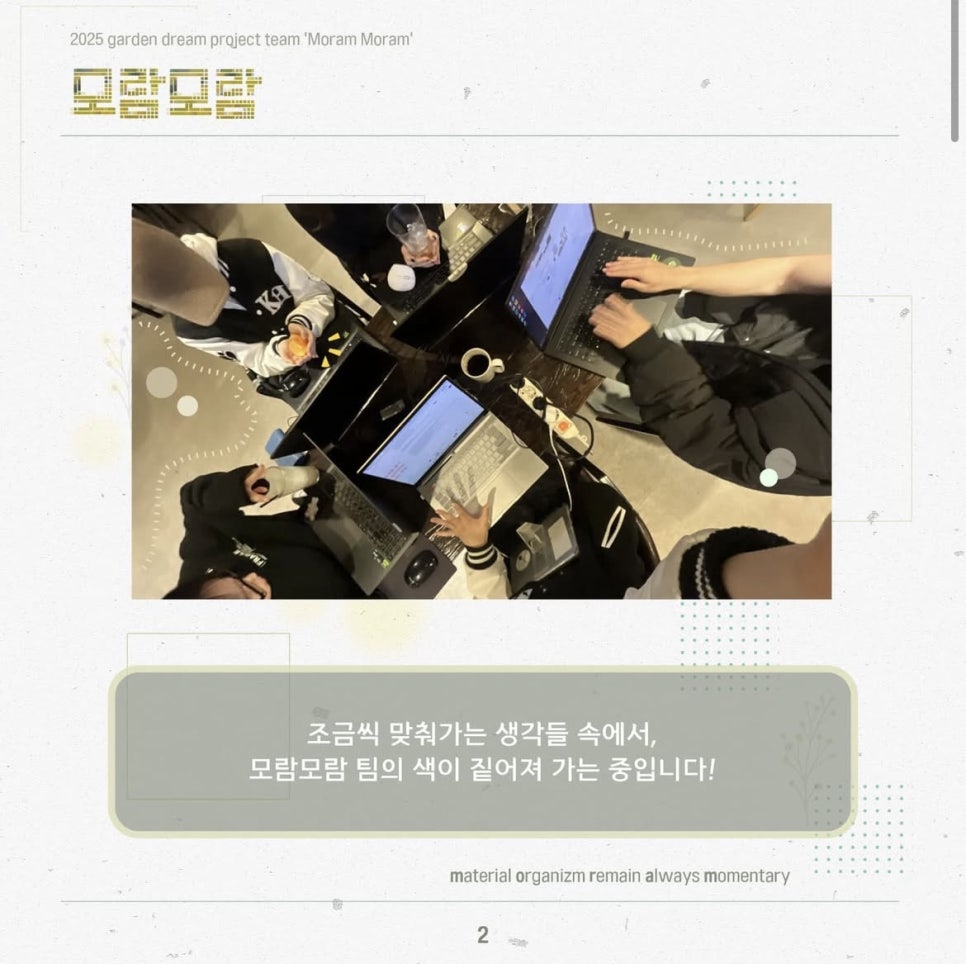 모람모람 이미지