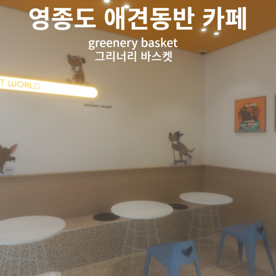 그리너리 바스켓 이미지