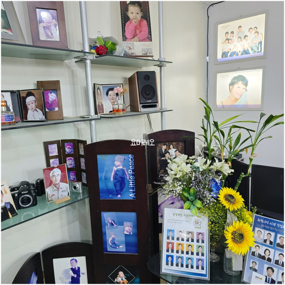 지오사진관 이미지