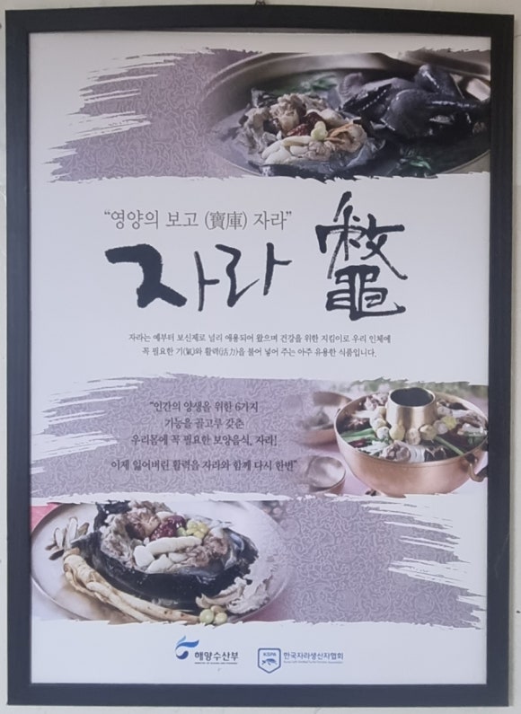 봉강별곡 이미지