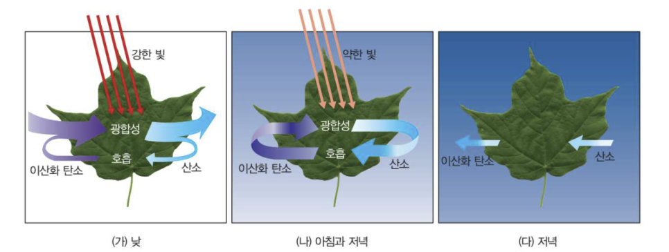 바이오스피어(주) 이미지