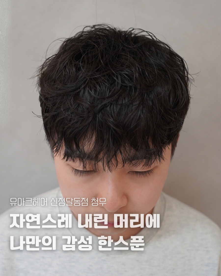 신정수석 이미지