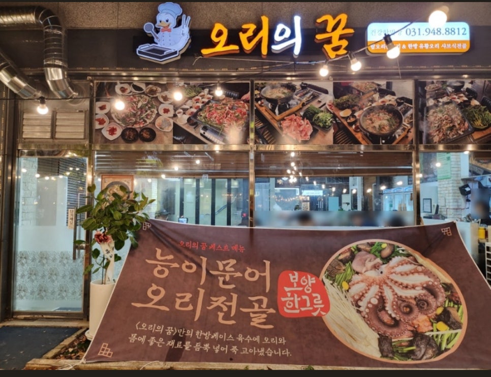 오리의 꿈 이미지