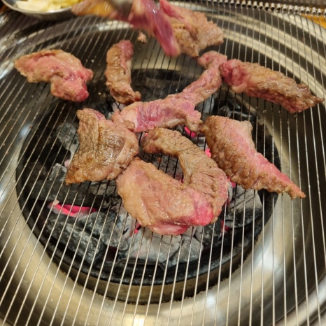 은행나무갈매기 이미지