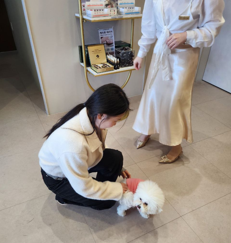 숑숑뷰티 이미지