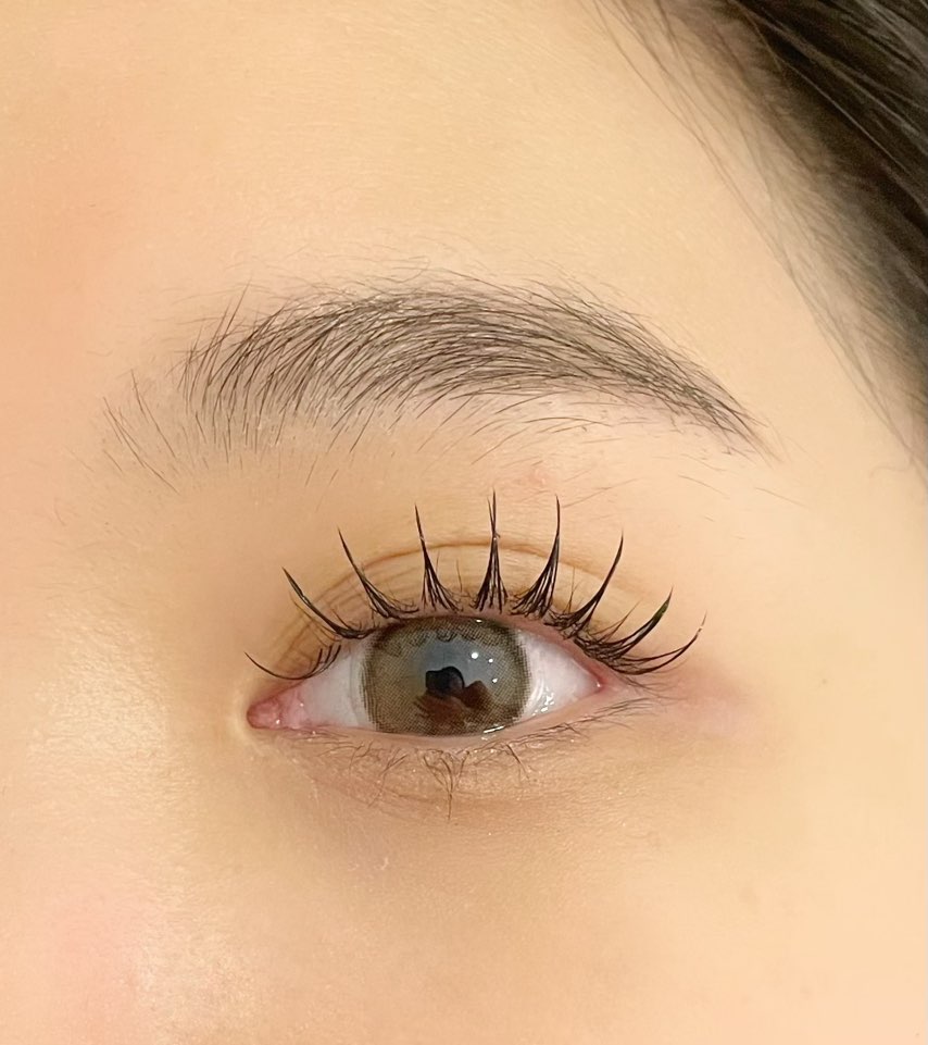 보니타디자인 이미지