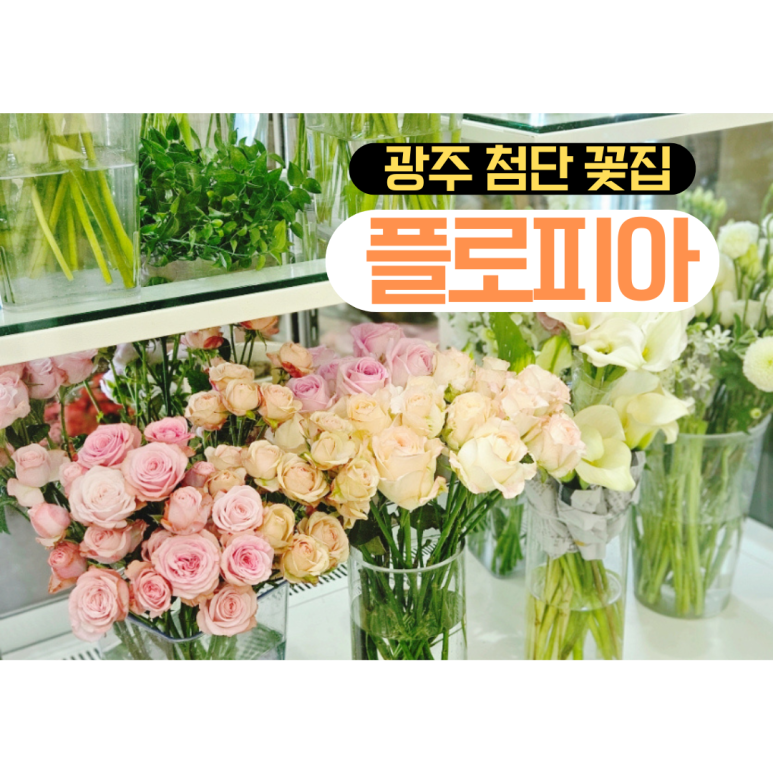 플로피아 이미지