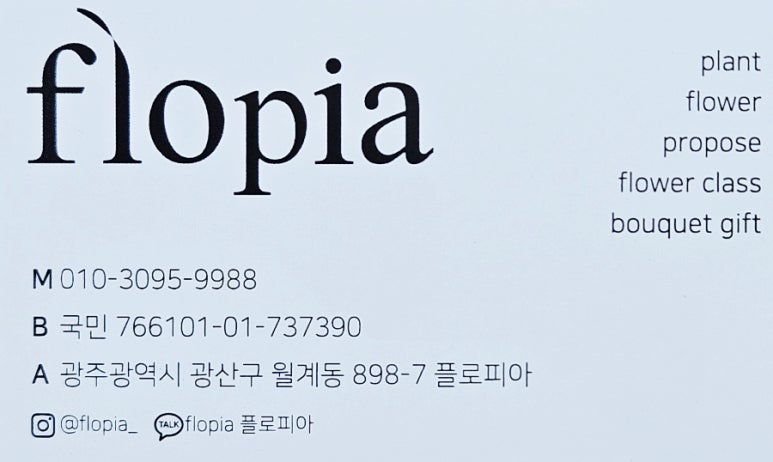 플로피아 이미지