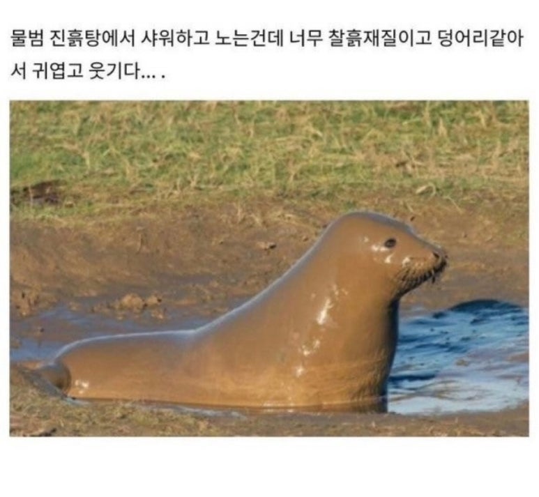 유박사 이미지