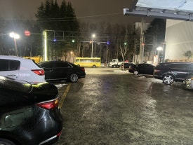 도리산암소한마리 이미지