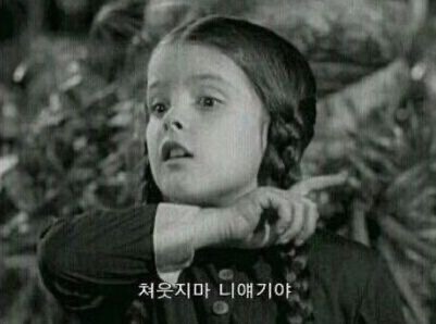 디니타 이미지