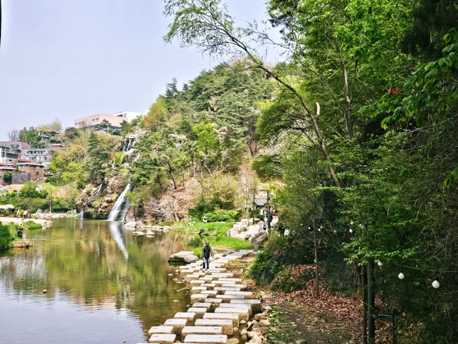 숲속 이미지