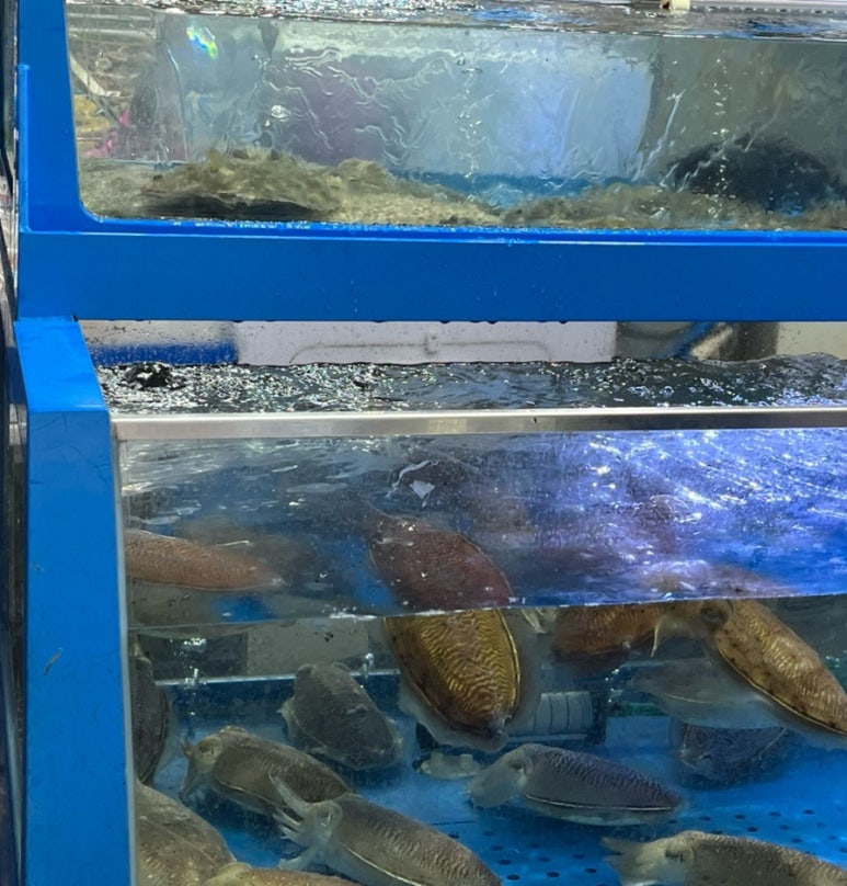 안면수산 이미지