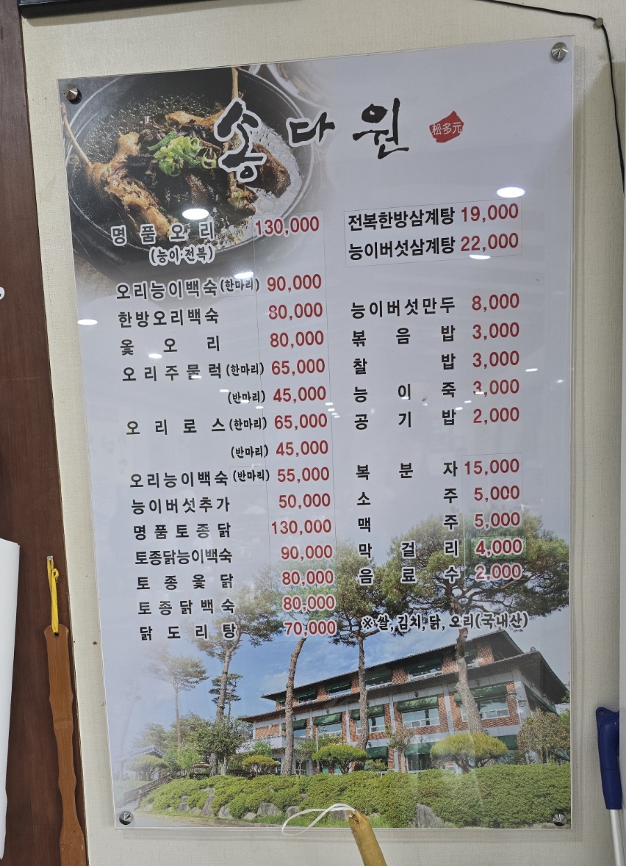 송다원 이미지