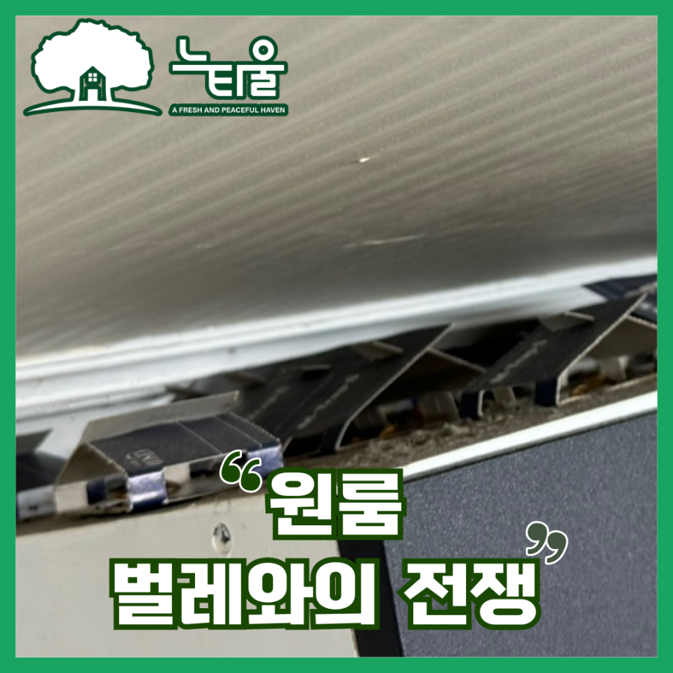 원룸 벌레 퇴치, 청소와 방역의 완벽한 만남
