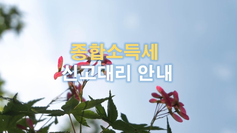 세무회계늘봄 이미지