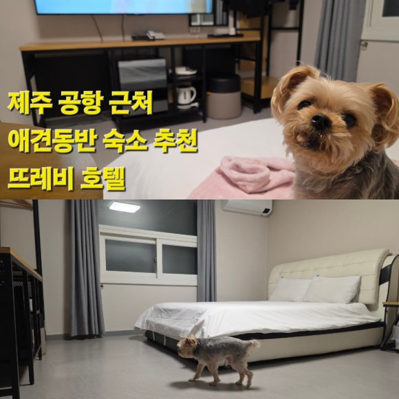 뜨레비호텔 이미지