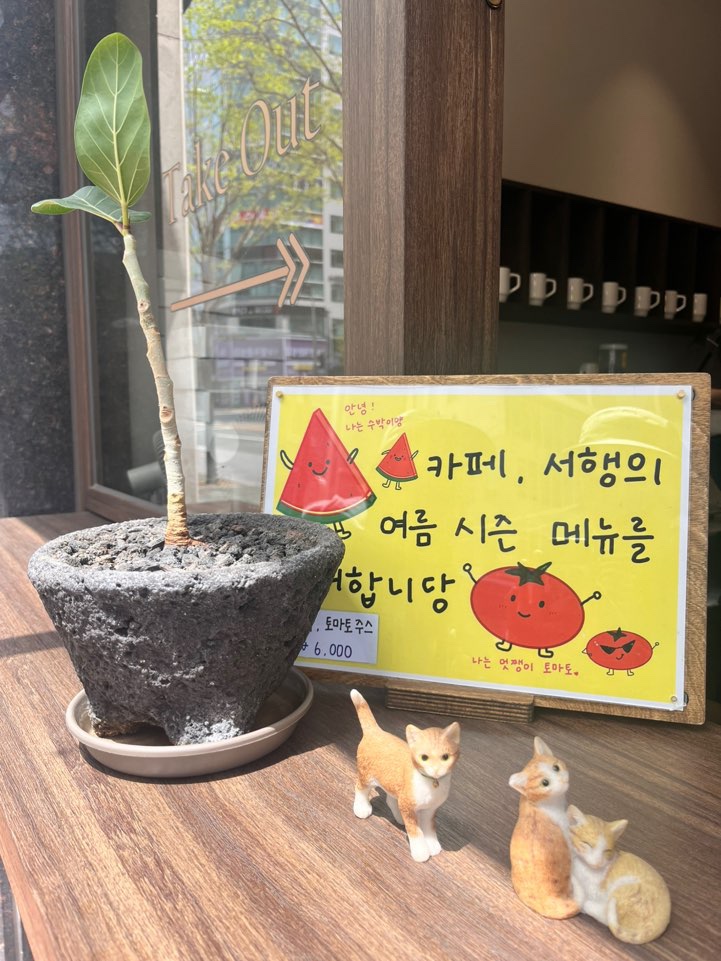 카페서행 이미지