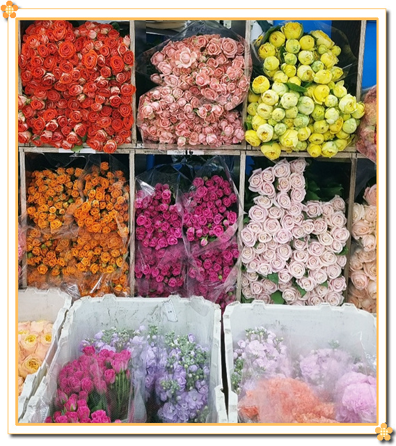 꽃블리 이미지
