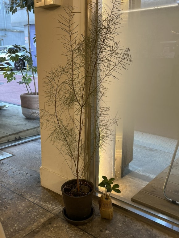 선유슬로우 이미지