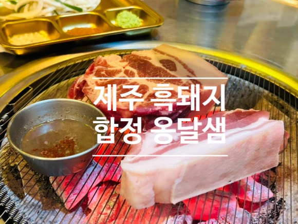 옹달샘 합정 고깃집 이미지