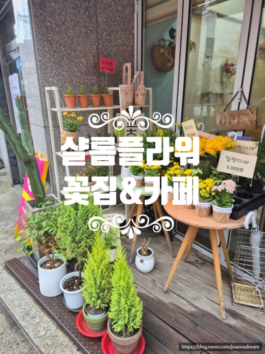 샬롬플라워카페 이미지