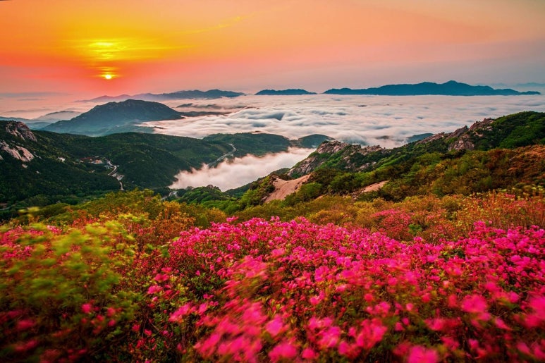 CONLAB 이미지