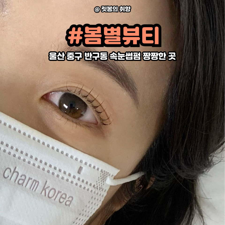 봄별 이미지