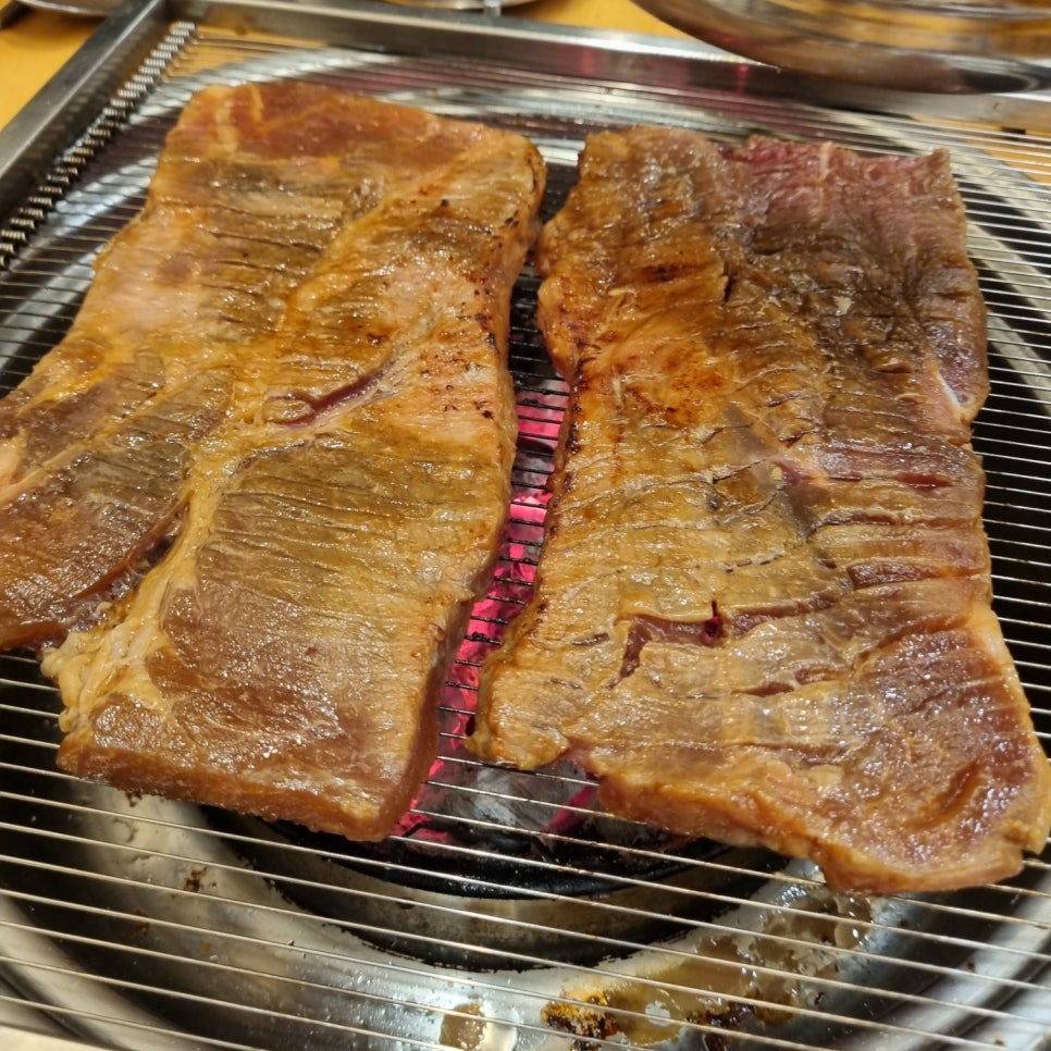 은행나무갈매기 이미지