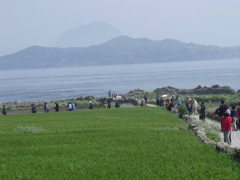CONLAB 이미지