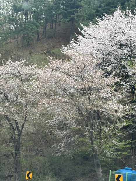 비에이치씨빌리리조트점 이미지