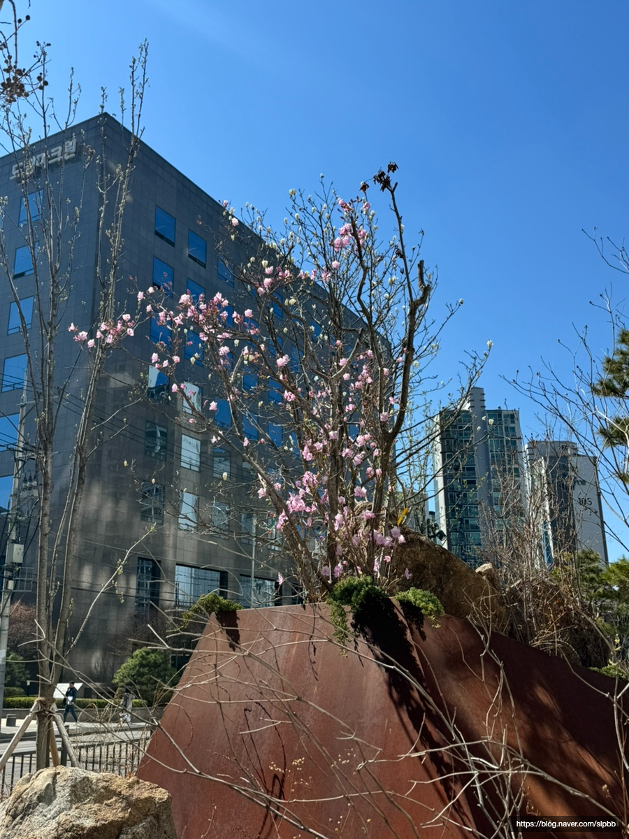 커피사피엔스구로아티스포럼점 이미지