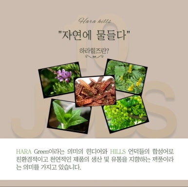 반디헤어 이미지