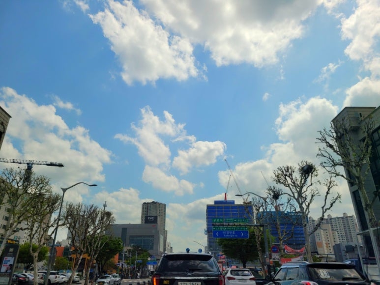 쑥고개 사진 2