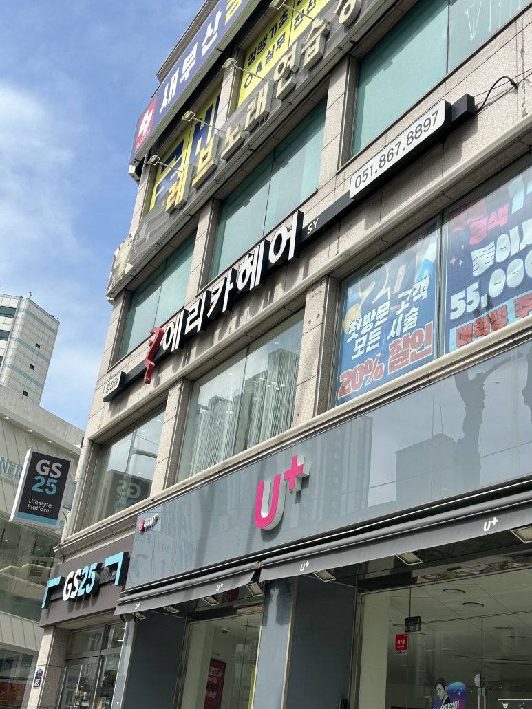 지나에리카 이미지