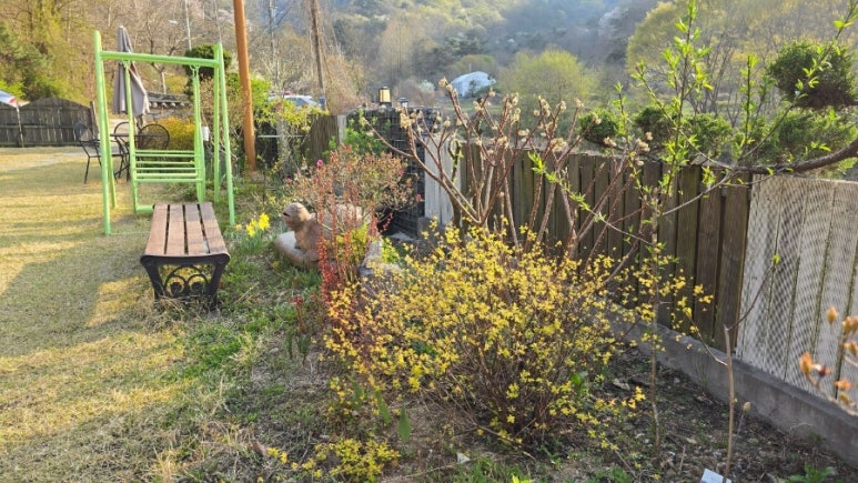여울한옥 이미지