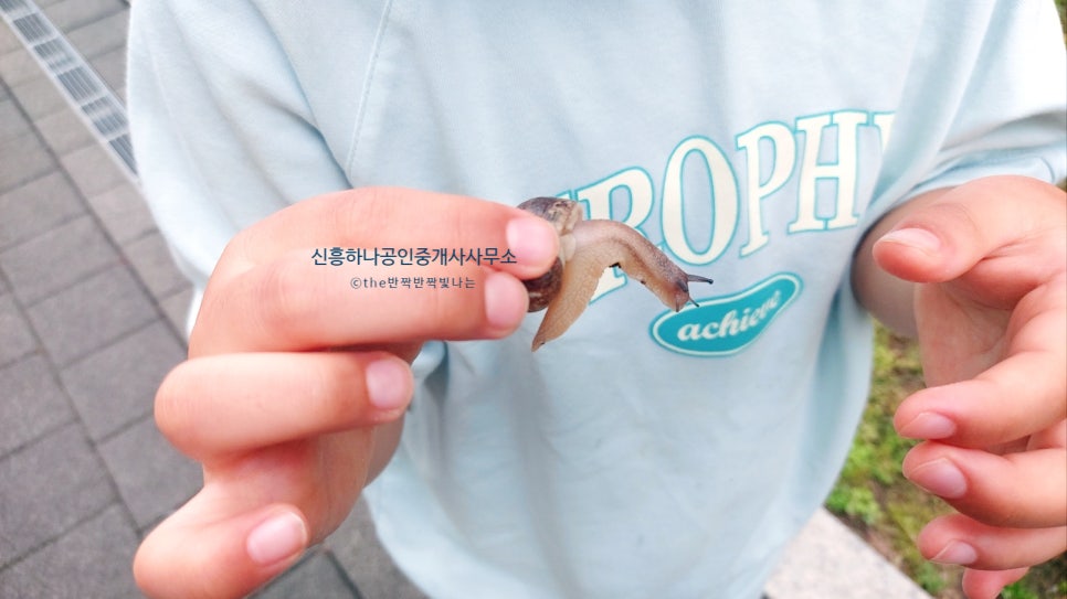 수정이엔씨 이미지