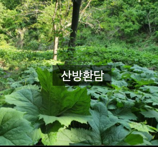 산방환담 이미지