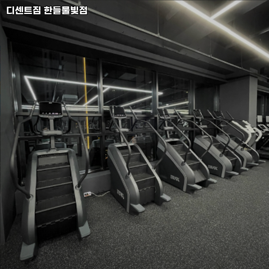 디센트한들물빛점 이미지