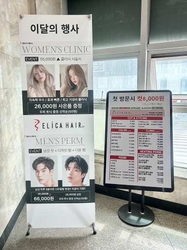 지나에리카 이미지