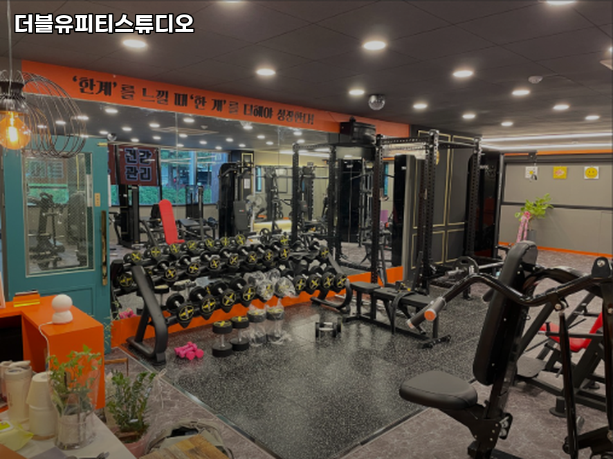 더블유피티스튜디오 이미지