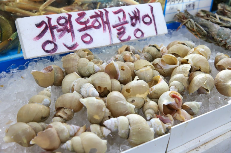대명수산 이미지