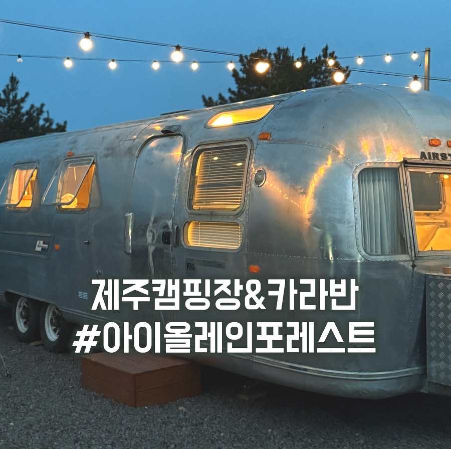 아이올레인포레스트캠핑 이미지