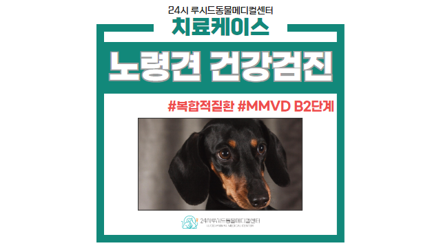 김진영내과 이미지