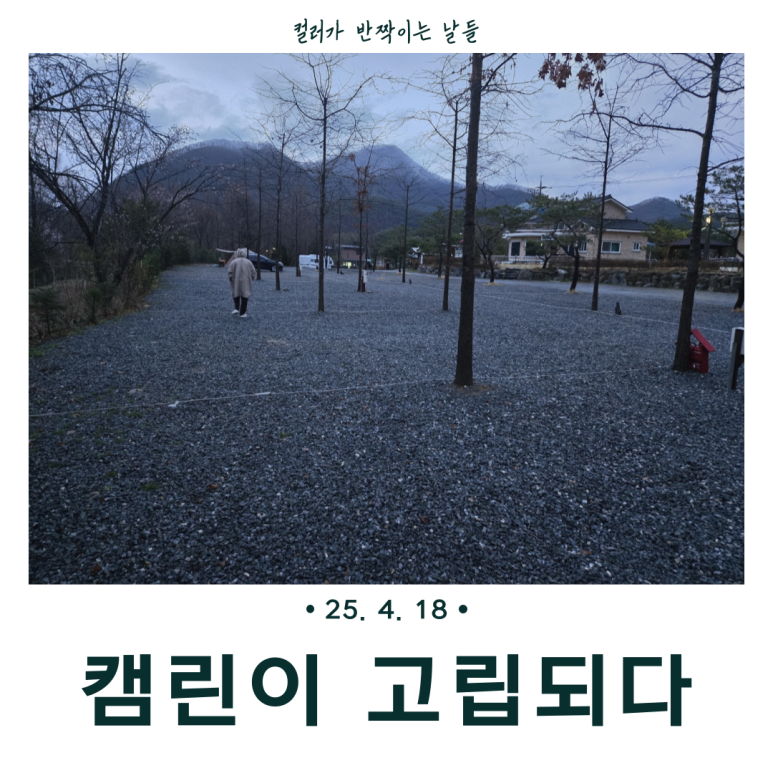 위드힐링 캠핑장 이미지
